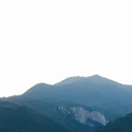 アパート Francesca House